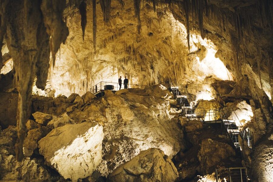 Margaret River: Self-Guided Audio Tour of Mammoth Cave - The fossils that make this visit special