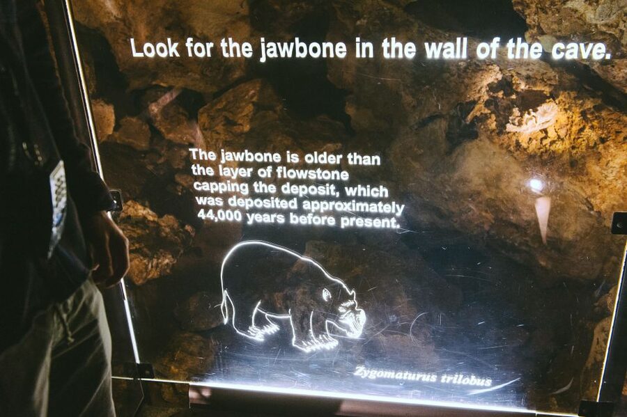 Margaret River: Self-Guided Audio Tour of Mammoth Cave - Is the two-hour visit good value?
