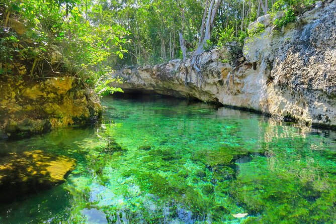 Mayan Cenotes Experience with Mayan Ruins or Local Community - Who will get the most from this outing