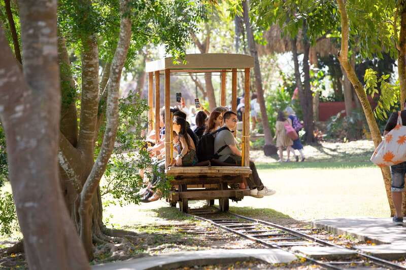Merida: Hacienda Sotuta de Peon w/ Cenote & Henequen Tour - Who will enjoy this half-day outing