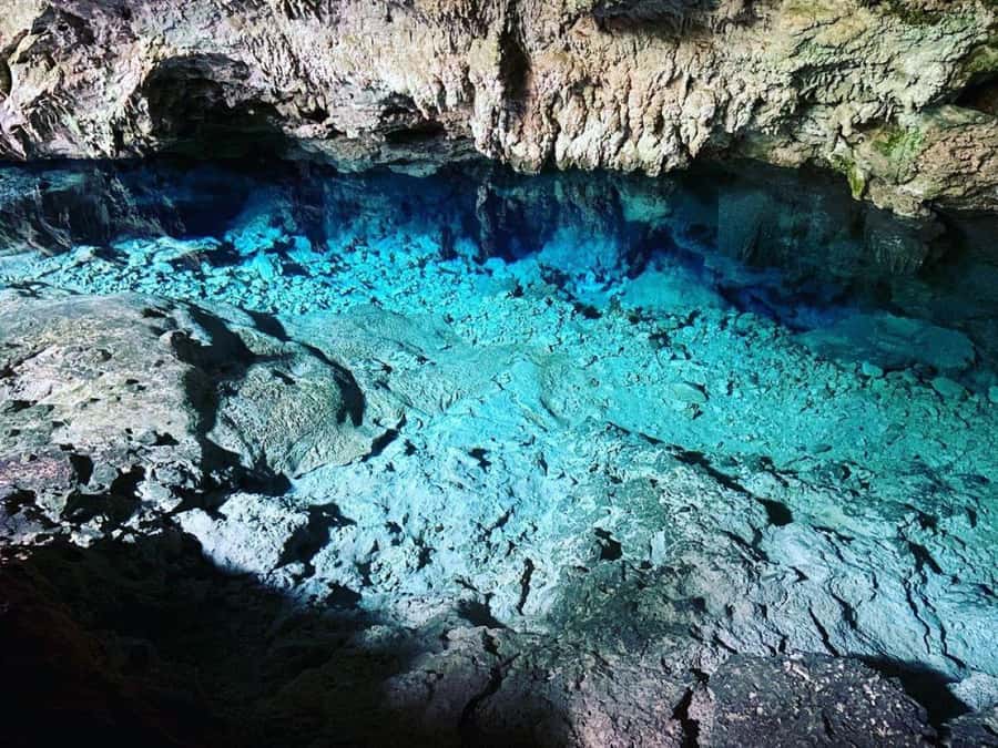 Mnemba Island, Turtle Tour, Kuza Cave, The Rock - Why the private format matters