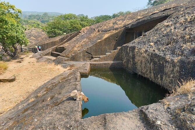 Mumbai Kanheri Caves & Golden Pagoda – A Buddhist Settlement - Is $23 good value?