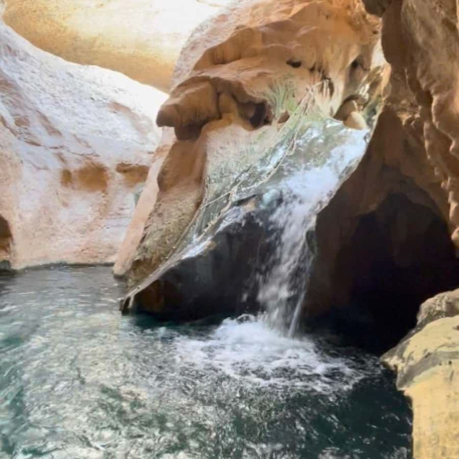 Muscat: Wadi Shab, Romantic Cave and Sinkhole Full-day Trip - Swimming toward the hidden waterfall