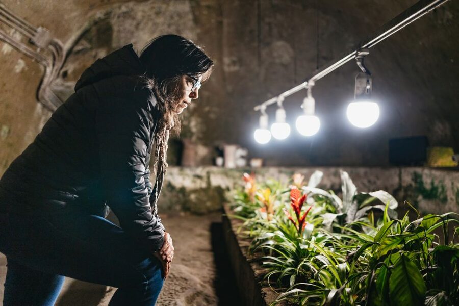 Naples: Naples Underground Entry Ticket and Guided Tour - Key points to know before you book