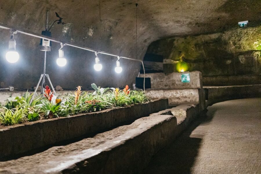 Naples: Naples Underground Entry Ticket and Guided Tour - Is the 21 dollar price good value?