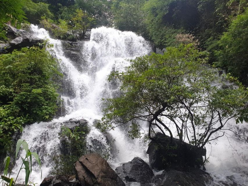 National Park - Paradise Cave & Phong Nha Cave - Who will enjoy this day most