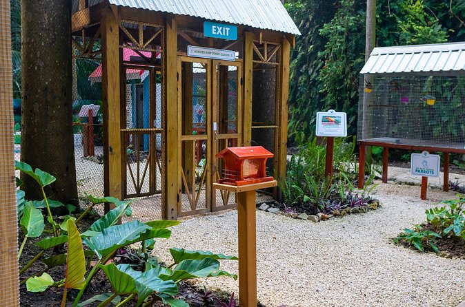 Nature Trail, Tram & Rum Tasting at Harrison's Cave by Chukka - Who Will Enjoy This Barbados Combination Tour?
