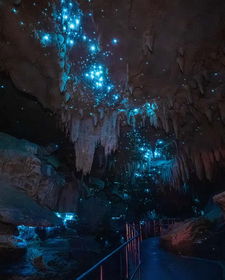 New Zealand: Milky Way Glowworm Cave Tour - What makes the Milky Way Glowworm Cave different