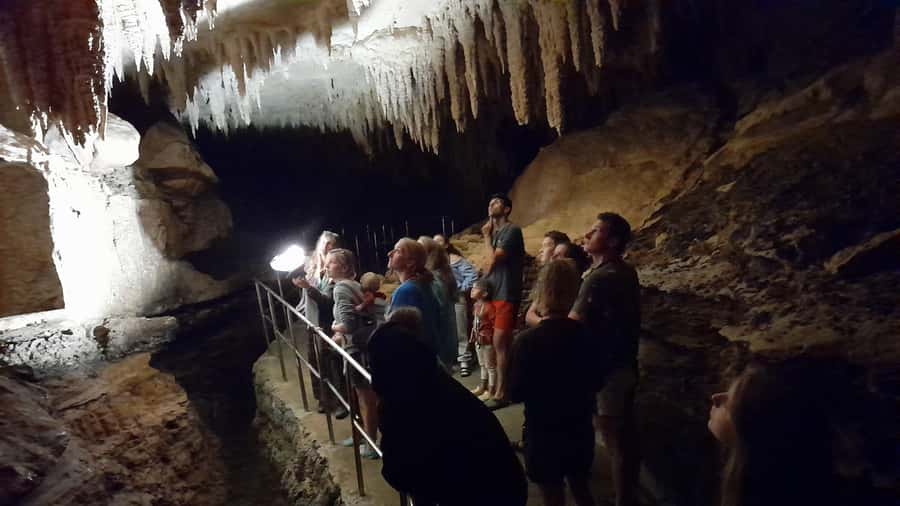 New Zealand: Milky Way Glowworm Cave Tour - The 30 steps into the cave