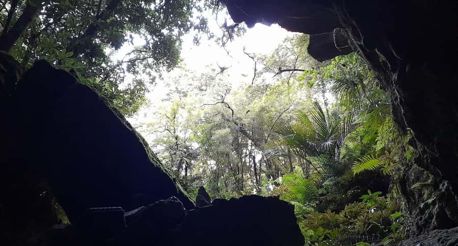 New Zealand: Milky Way Glowworm Cave Tour - Crystal formations before the lights go out