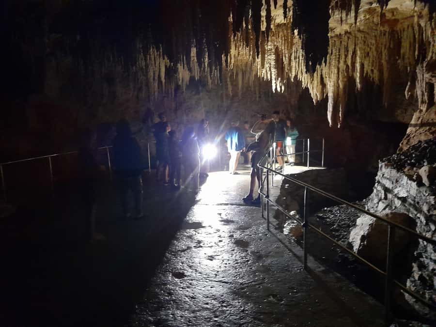 New Zealand: Milky Way Glowworm Cave Tour - Seeing New Zealand glowworms up close