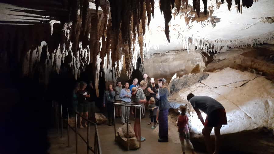 New Zealand: Milky Way Glowworm Cave Tour - What you get for $26