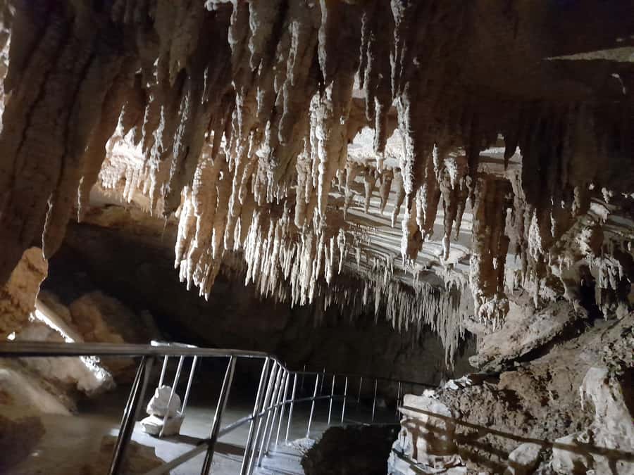 New Zealand: Milky Way Glowworm Cave Tour - Reaching the cave from Auckland