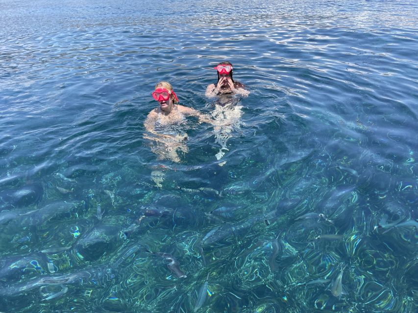 Nice: Monaco & Mala Caves Boat Trip with Snorkeling - Èze and Saint-Jean-Cap-Ferrat from sea level