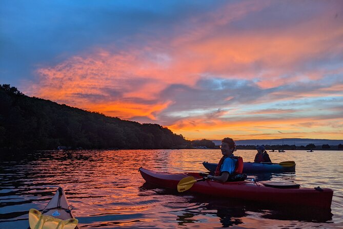 Nickajack Bat Cave Kayak Tour with Chattanooga Guided Adventures - Why Nickajack’s bats are worth the paddle
