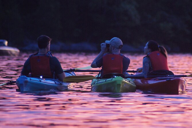 Nickajack Bat Cave Kayak Tour with Chattanooga Guided Adventures - The big question: will you see thousands of bats?