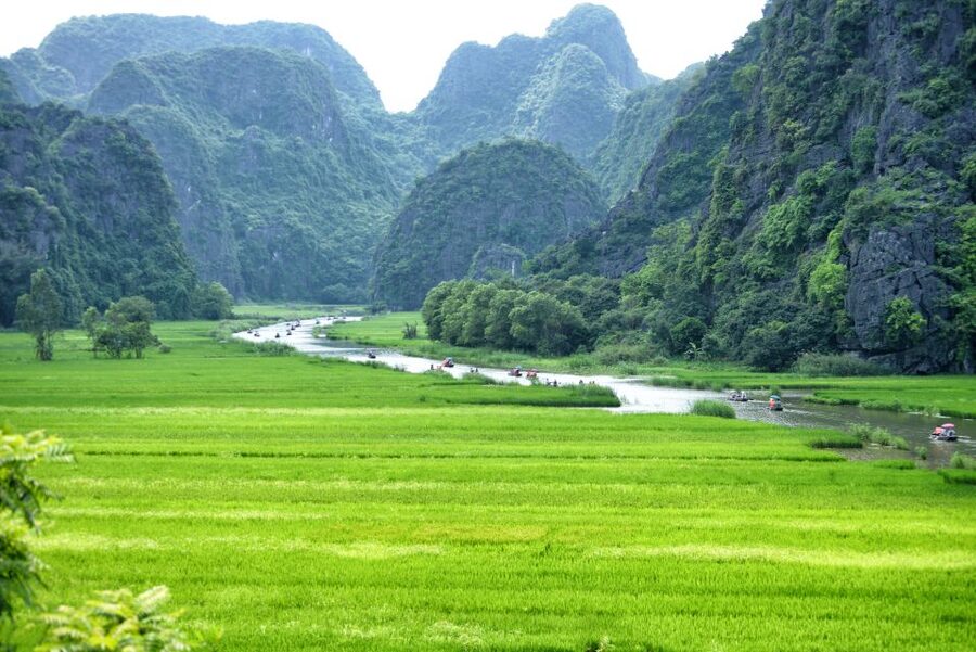 Ninh Binh Daily: Hoa Lu, Mua Cave, Tam Coc, Bike & Swimming - Small-group comfort and transport realities