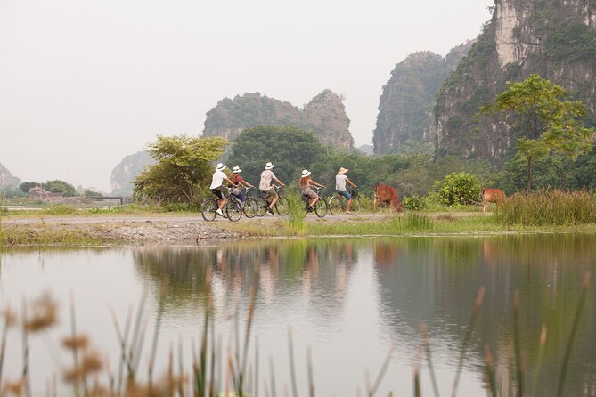 Ninh Binh Day Tour To Visit Hoa Lu - Trang An/Tam Coc - Mua Cave - Mua Cave and the staircase to the dragon