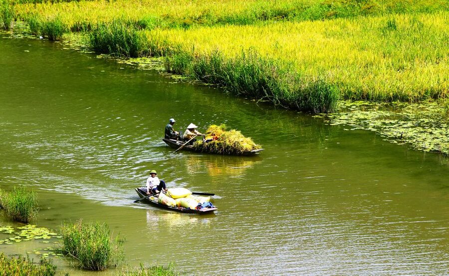 Ninh Binh: Hoa Lu, Trang An and Mua Caves Hiking Day Trip - Hoa Lu and the temples of Vietnam’s early rulers