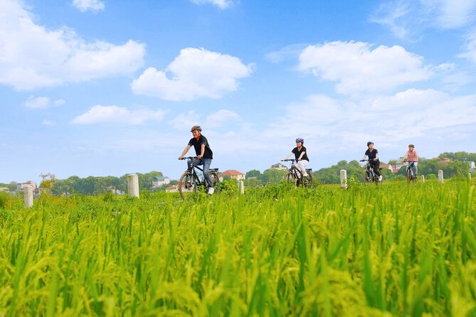 Ninh Binh Private Tour to Mua Cave Trang An Grottoes From Hanoi - Tam Coc by bicycle, with a look at farm life