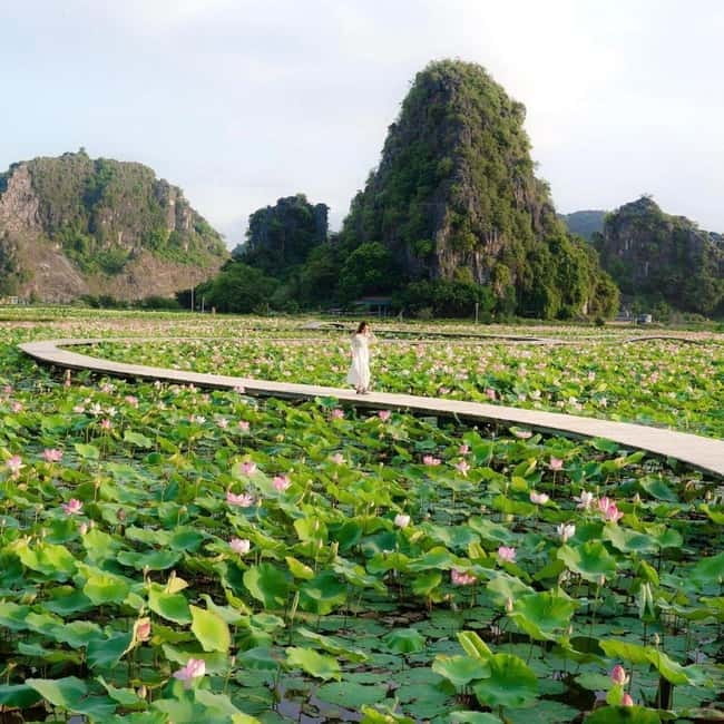 Ninh Binh Sunset Motorbike: Mua Cave, Coi Khe & Hoa Lu Town - Climbing Mua Cave’s nearly 500 steps