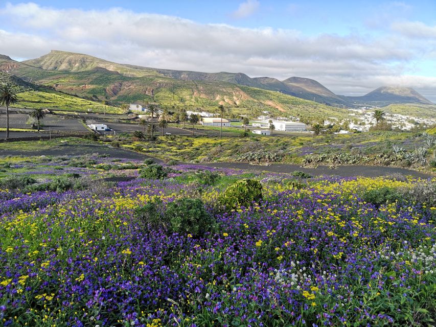 North Lanzarote: Cave, Jameos del Agua, and Viewpoint - The guide, language, and pace