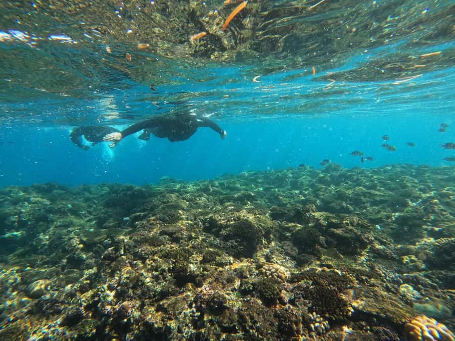 Okinawa: Blue Cave Private Snorkeling Tour with Guide - Preparation takes about 30 minutes