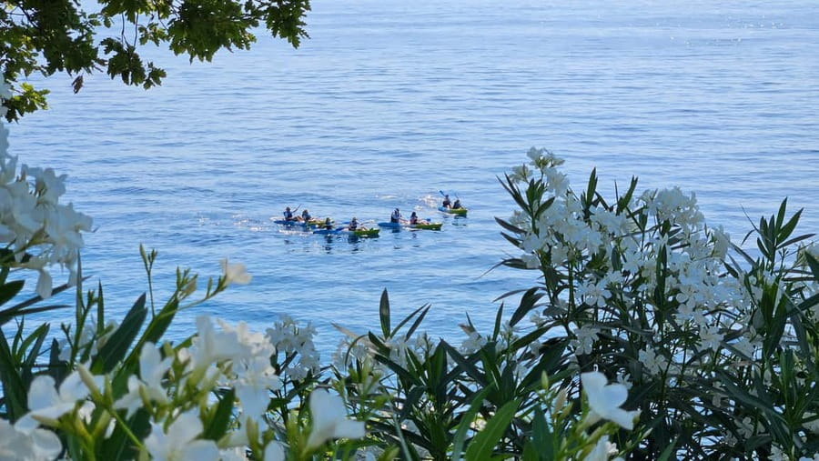 Opatija: Cliffs and caves kayak adventure - The paddle back adds Opatija context
