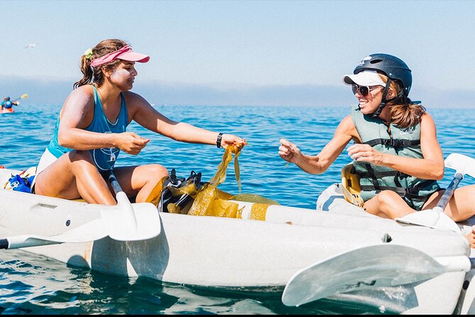 Original La Jolla Sea Cave Kayak Tour for Two - Arriving at 2261 Avenida De La Playa