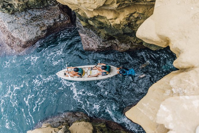Original La Jolla Sea Cave Kayak Tour for Two - What Makes the Guides Important