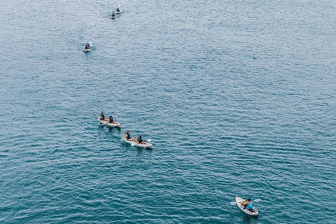 Original La Jolla Sea Cave Kayak Tour for Two - Value at $109 for Two