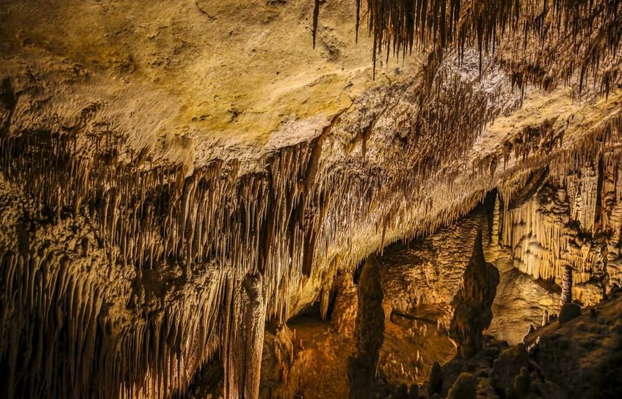 Palma: Caves of Drach Entrance, Music Concert, and Boat Trip - Walking Through 320 Steps of Limestone