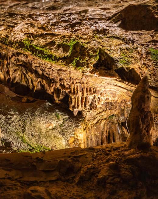 Palma: Caves of Genova Ticket & Digital Audio Guide - What the 36-meter descent feels like