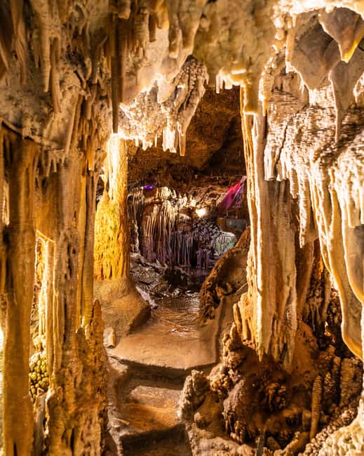 Palma: Caves of Genova Ticket & Digital Audio Guide - Who will enjoy this visit most