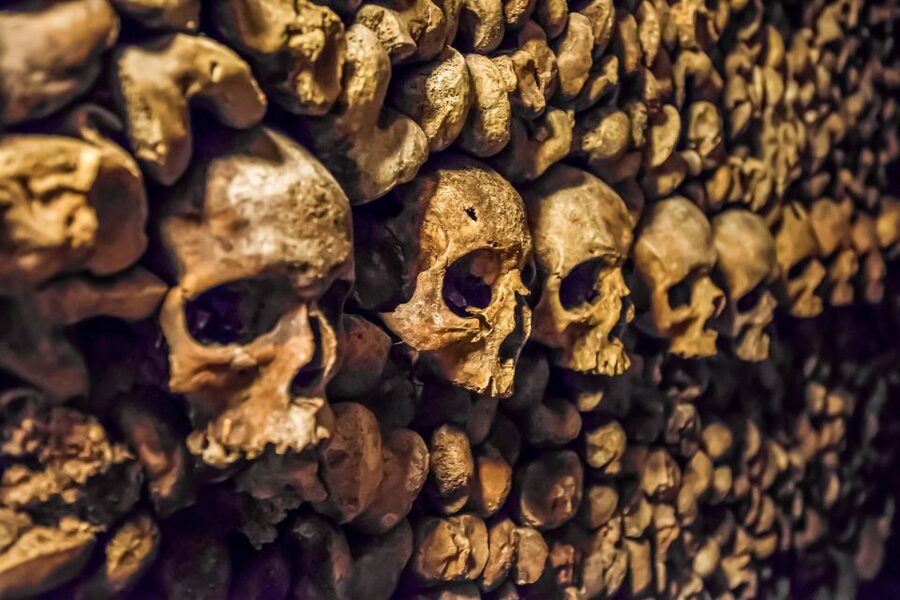Paris: Catacombs Restricted Access Tour - Going Down 130 Steps Into the Quarries