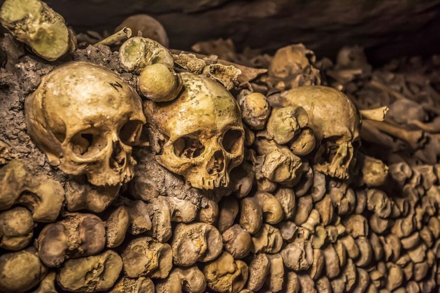 Paris: Catacombs Restricted Access Tour - What Two Hours Feels Like