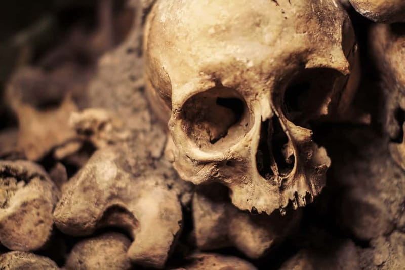 Paris: Catacombs Special Access Tour - What this Catacombs tour is really about