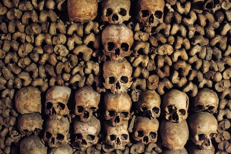 Paris: Catacombs Special Access Tour - Practical comfort and clothing