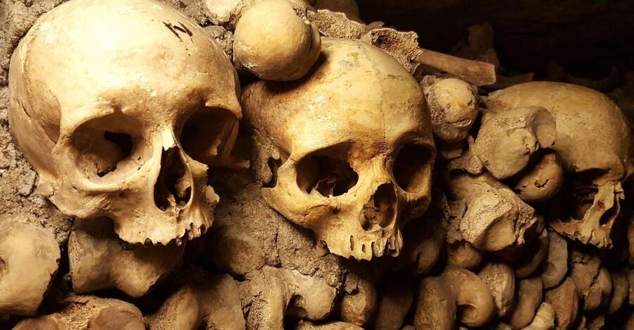 Paris: Catacombs Ticket and Seine River Cruise - What this Paris combination actually includes