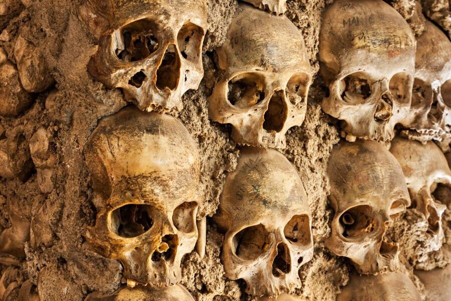 Paris: Catacombs Ticket and Seine River Cruise - Why the underground setting works so well
