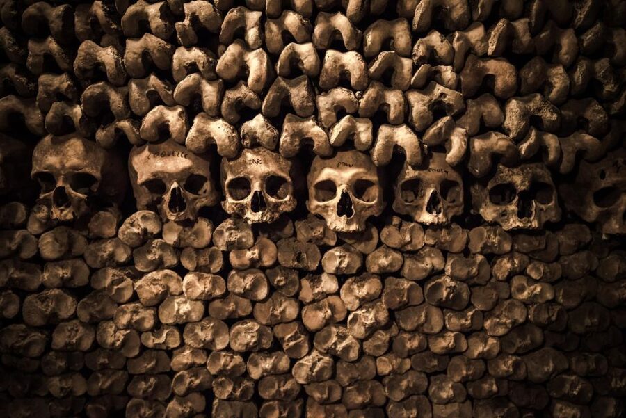 Paris: Catacombs Ticket and Seine River Cruise - From the tunnels to the Seine