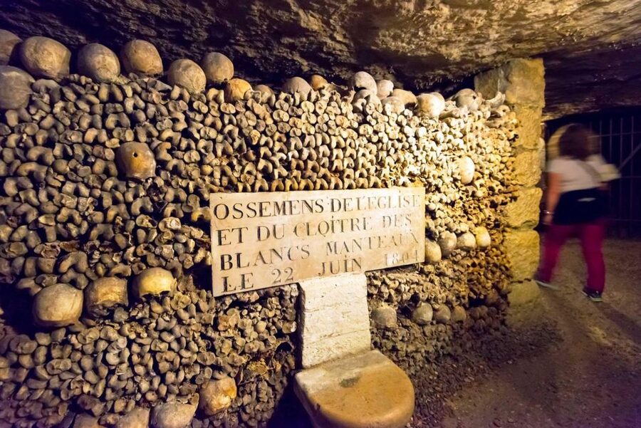 Paris: Catacombs Ticket and Seine River Cruise - Best timing for a smoother day