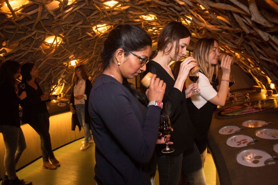 Paris: Les Caves du Louvre Guided Tour with Wine Tastings - Who will enjoy this tour most?
