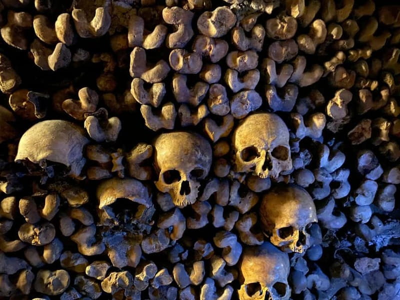 Paris: Small-Group Catacombs Tour with Skip-the-Line Entry - What the restricted access adds