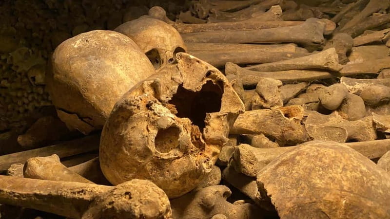 Paris: Small-Group Catacombs Tour with Skip-the-Line Entry - Meeting your guide at Avenue du Colonel Henri Rol-Tanguy