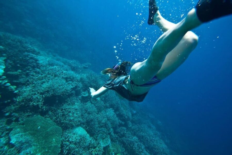 Peniche: Berlengas Island Caves Tour and Snorkeling - Berlenga Grande gives you cliffs, rock, and open sea