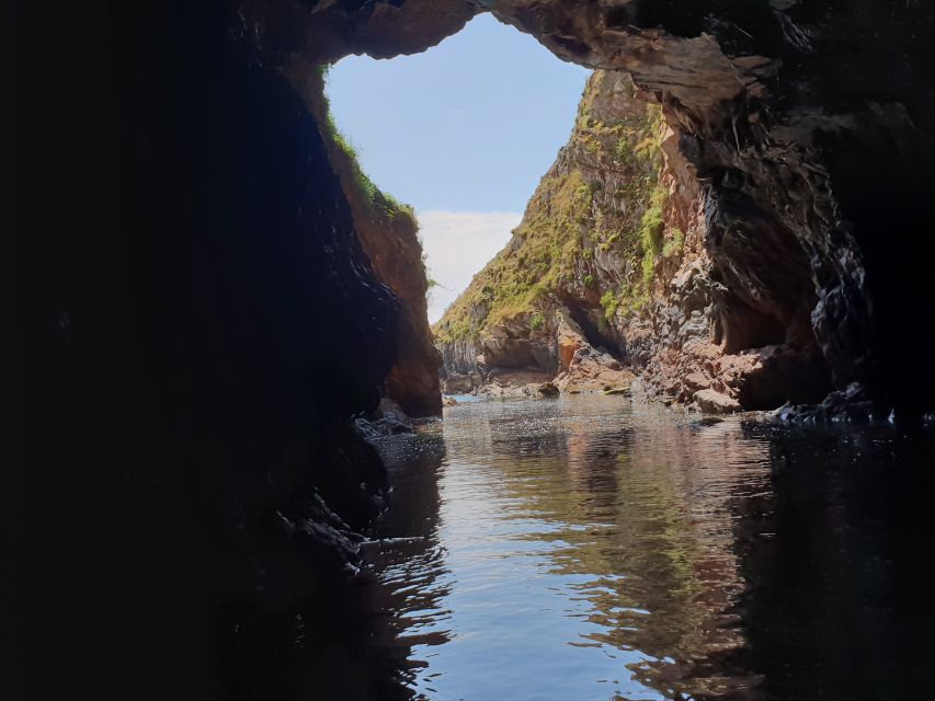 Peniche: Berlengas Roundtrip and Glass-Bottom Boat Cave Tour - Who should take this excursion?