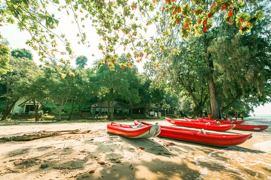 Phang Nga Bay Highlights: Kayaking and Cave Exploration Tour - What to Pack for the Water