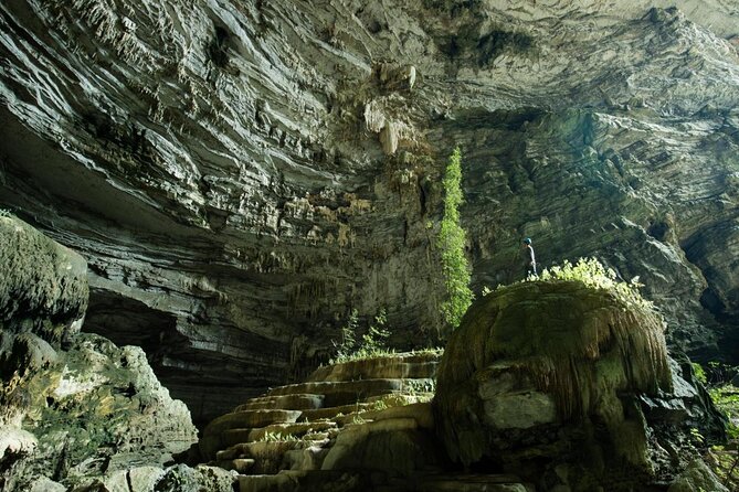 Phong Nha & Paradise Cave - 1 Day All Inclusive - Key points to know before booking