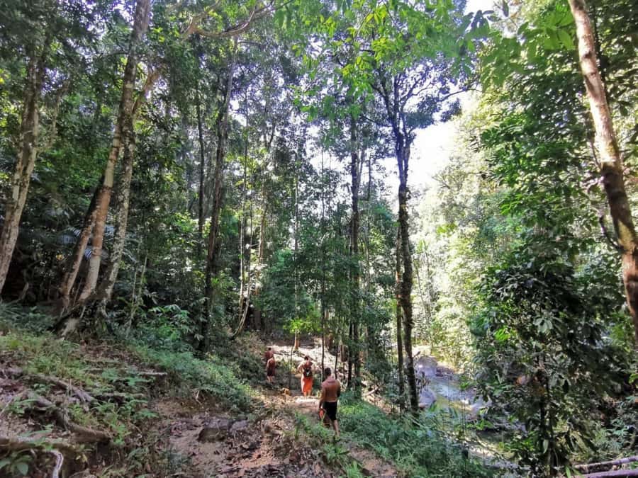 Phuket: Monkey Cave, Water Rafting, Zipline with ATV Option - Should you book this Phuket adventure?